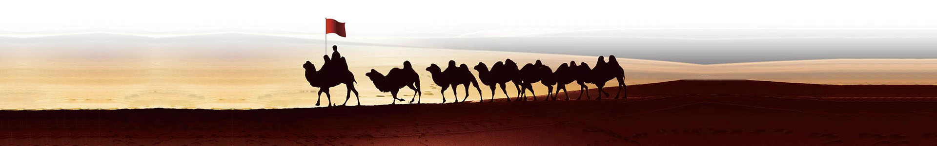 关于东升国际官网